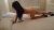 Bayan escort Gizem / Dikmen